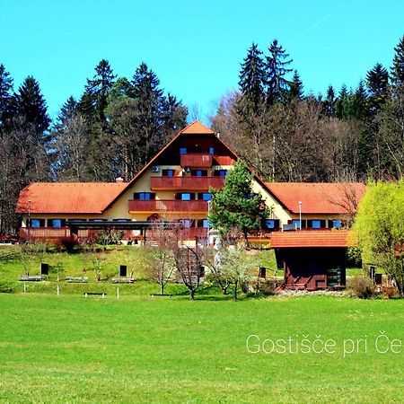 Guesthouse Pri Cebelici Lukovica pri Domžalah Eksteriør bilde